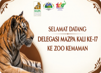 mazpa